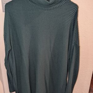 Time and Tru Ribbed Knit Sweater in Deep Green